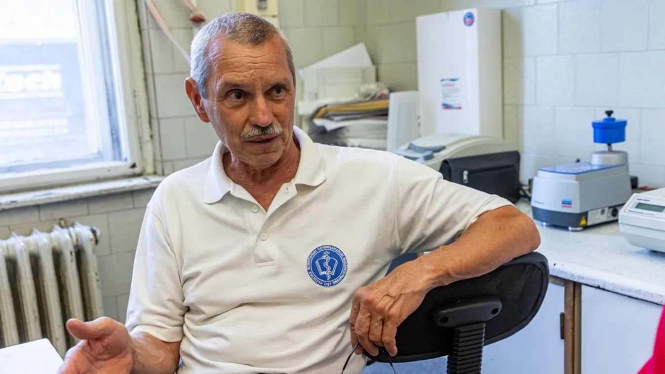 Dr. Rusvai Miklós elárulta: ekkor kisebb a kockázata a szívizomgyulladásnak