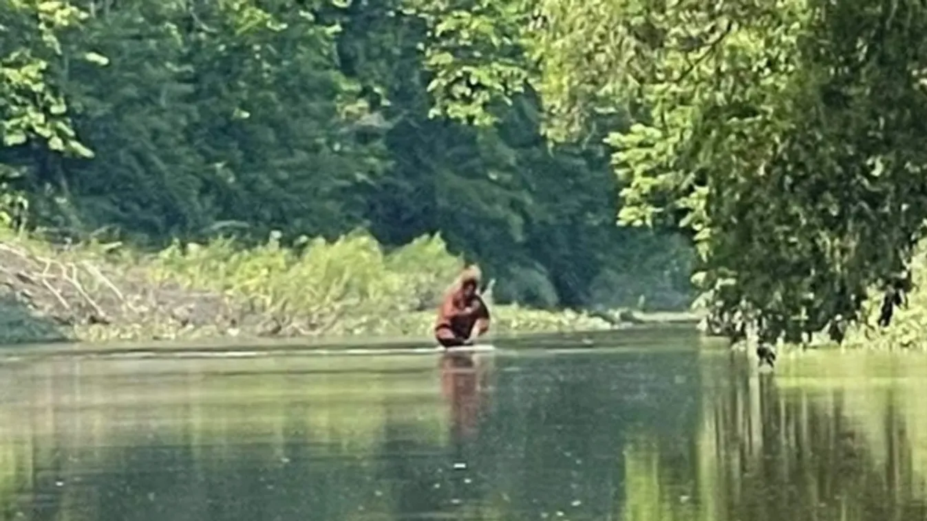 Döbbenetes felvétel szivárgott ki, senki sem tudja, hogy milyen lény látható rajta - Videó