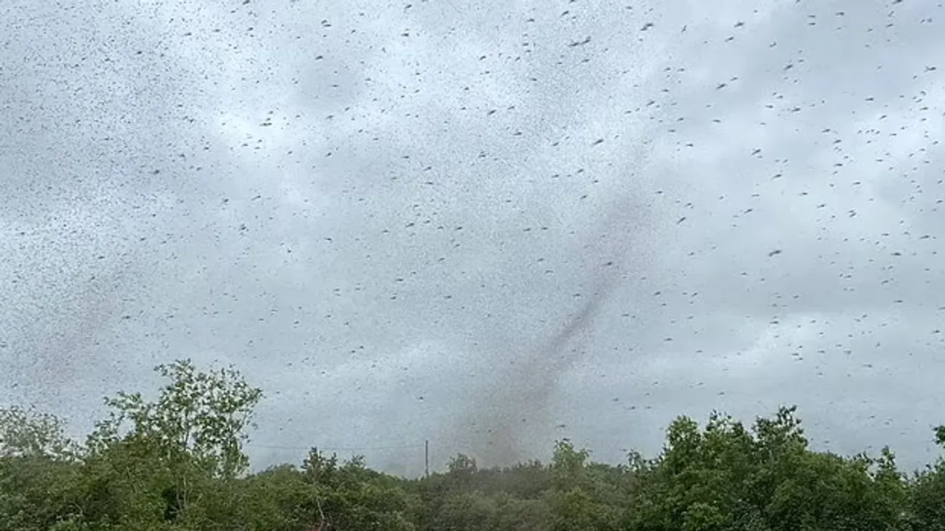 Hátborzongató „szúnyogtornádó” takarta el a Napot Oroszországban