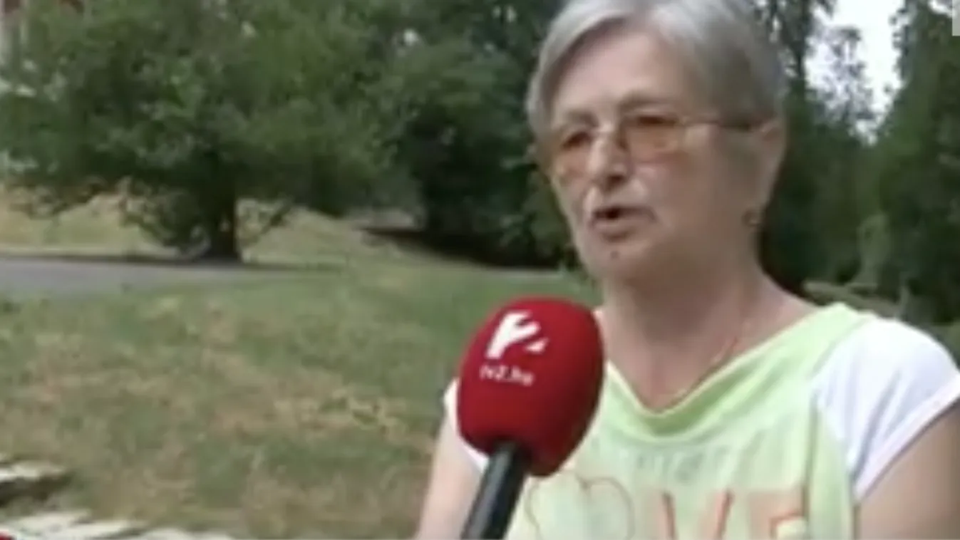 Kutyák marcangoltak egy idős nőt Miskolcon - Videó