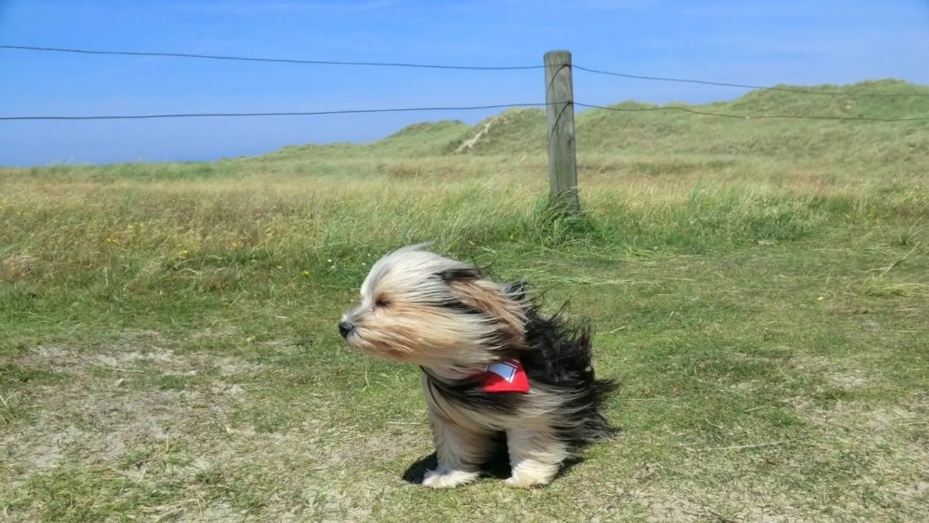 Orkán erejű szél, jégeső és felhőszakadás is jut majd nekünk csütörtökön