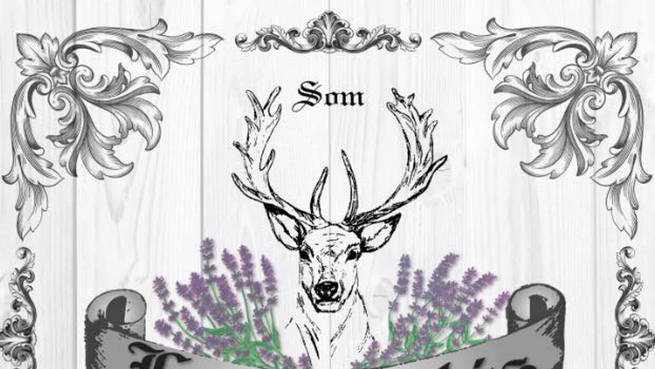 Szűz-parasztként belevágtam: Ezt a levendulafarmot egyszer az életben látni kell