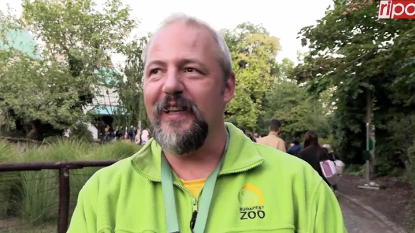 Állati, így zajlott az Állatkertek Éjszakája Budapesten – Videó