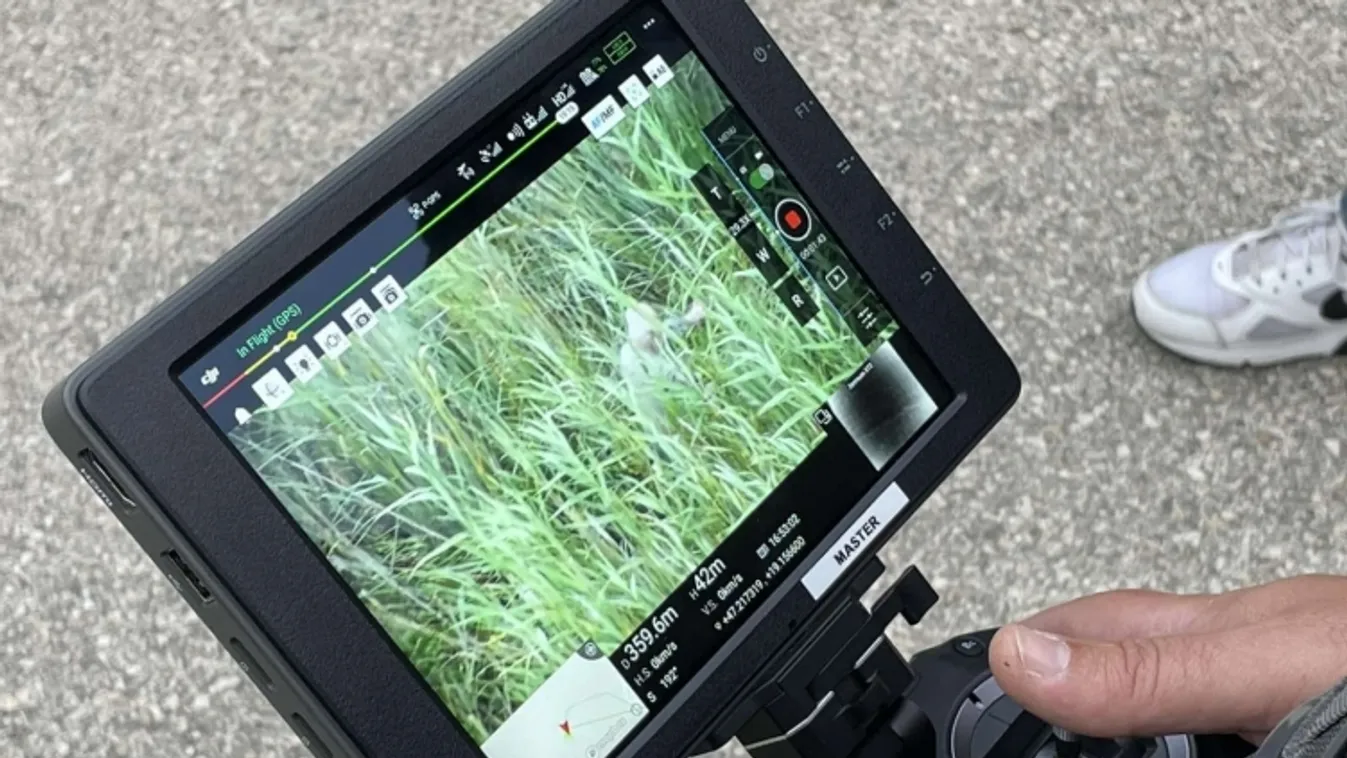 Bugyiban találták meg az eltűnt magyar férfit, ez történhetett vele