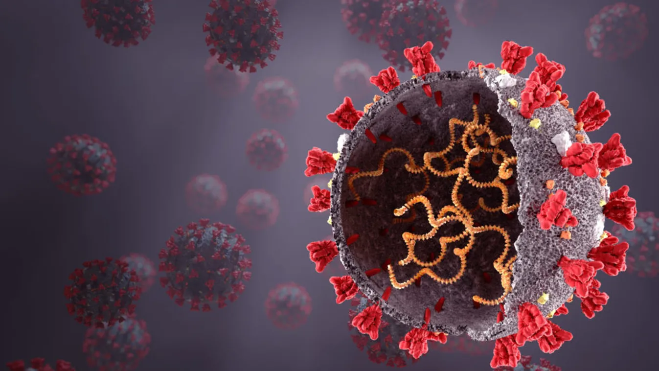  Drasztikusan nőtt a koronavírus halálos áldozatainak száma