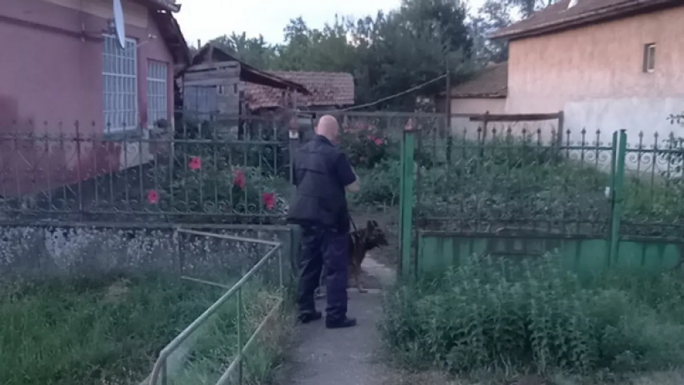 Nem hiszed el, mit tett a 29 éves férfi a 91 éves magyar nénivel a hálószobában