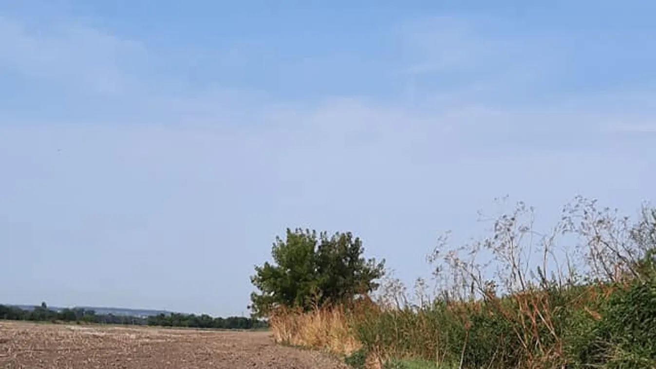 Nem hiszed el, mit hozott ide a szél Ausztriából