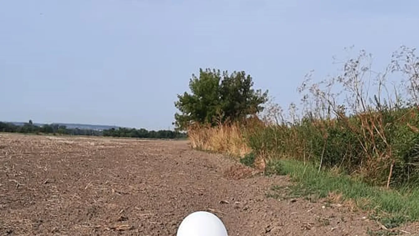 Megvan az a házaspár, akik az Ausztriából indult lufit elengedték