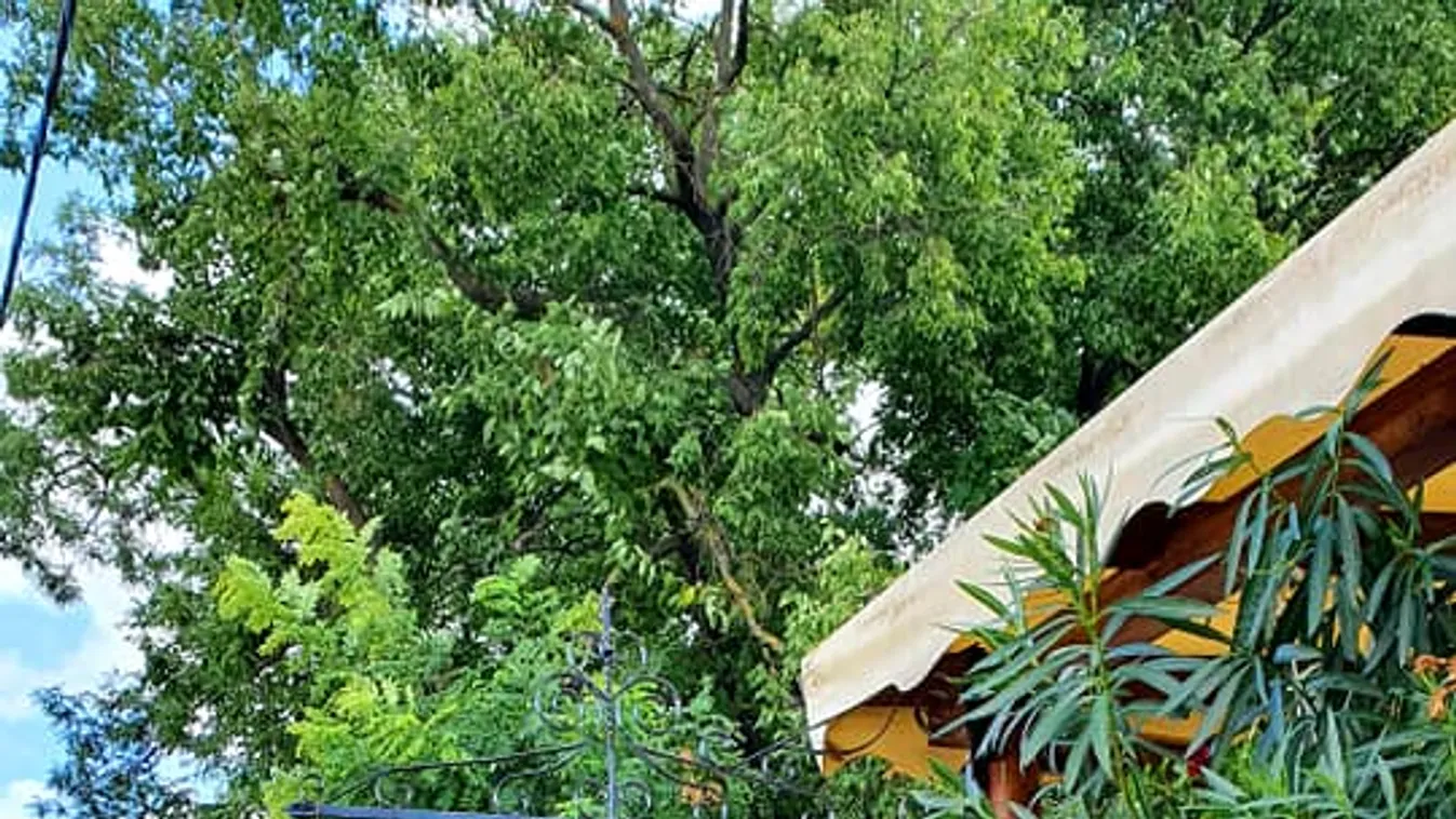 Bakancslistás hely Balatonkenesén: a Pörc