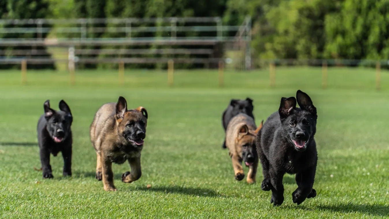 Börtönben született Aura öt testvérével együtt - videó