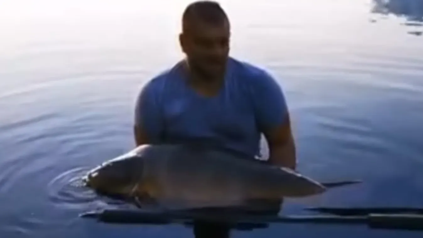 Hatalmas halszörny akadt Géza horgára, sokkot is kapott - Videó