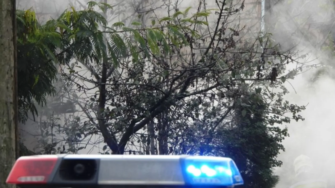 Duna-parti szatír tartott rettegésben a környéket, most fordulat történt az ügyében