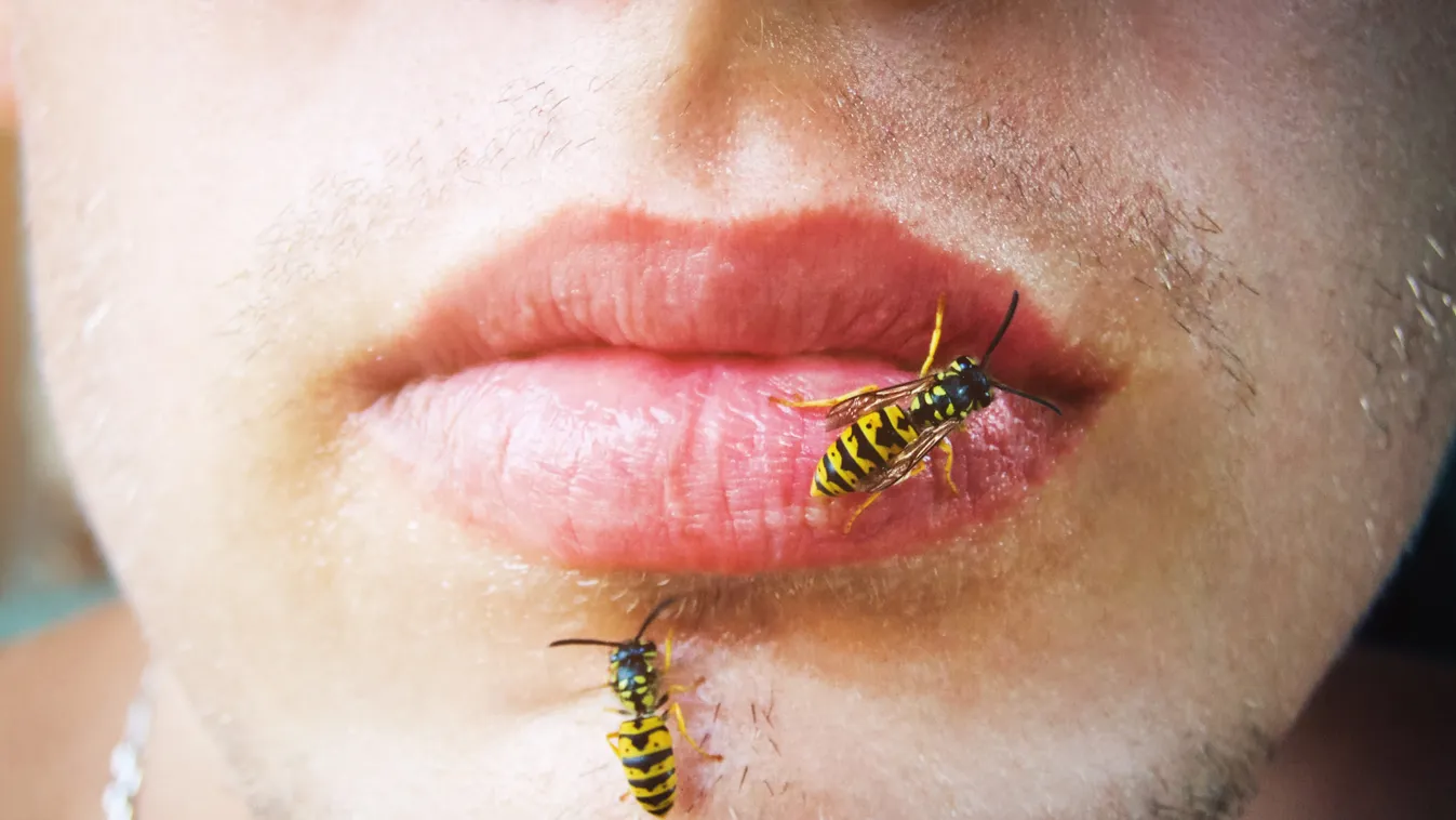 Dr. Bense Tamás: Életmentő lehet az elleninjekció ebben a nem várt esetben