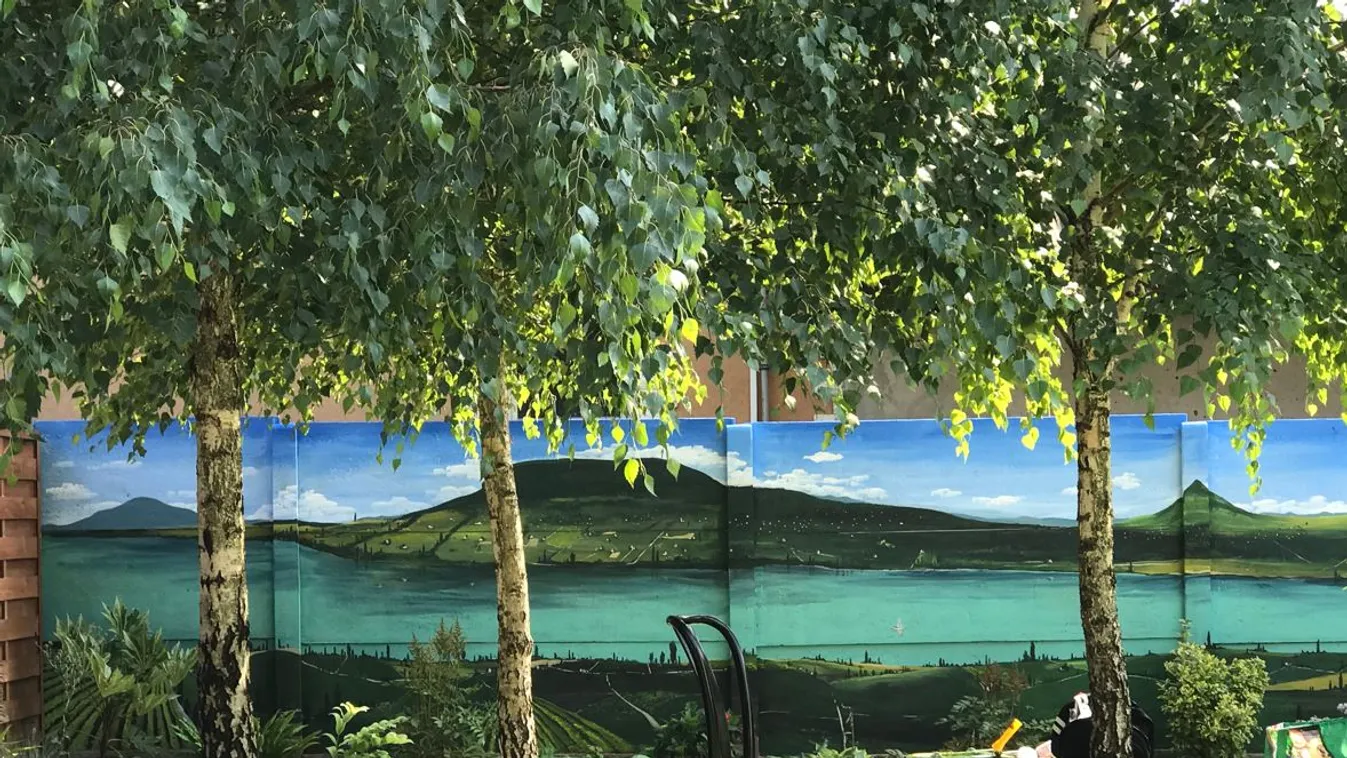 Nem sokat hezitált: Beköltöztette a Balatont a hátsó kertbe a csepeli fiatalember