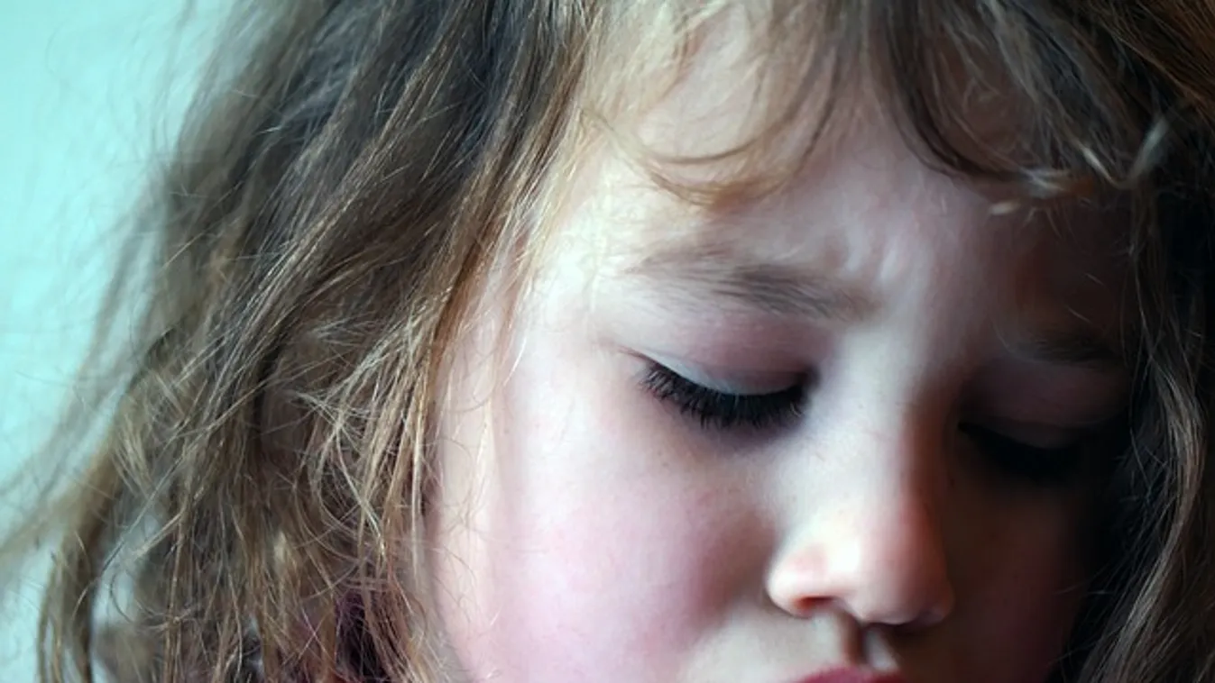 Külföldi szervezet figyelt fel a már korábban is elítélt magyar pedofilra