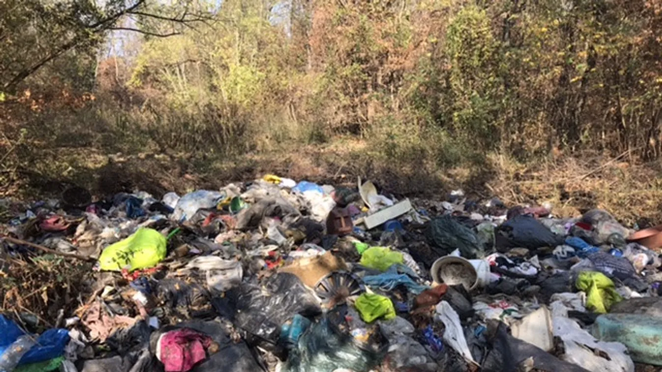 Itt a megoldás: Kukázásból él, mégis tele van pénzzel a négygyerekes anya