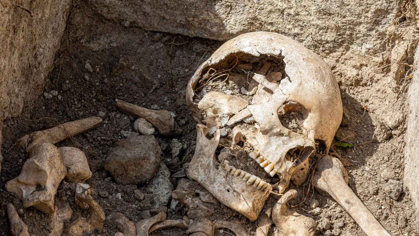 Ritkaságszámba menő, 6000 éves sírokat találtak Erdélyben