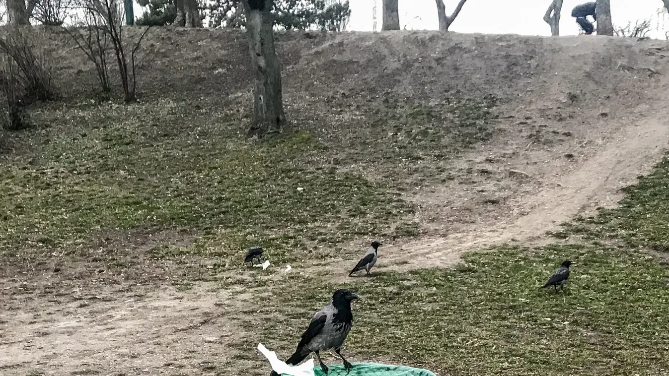 Dühösek az újpestiek, szörnyű állapotok uralkodnak az eltűnő kukák miatt