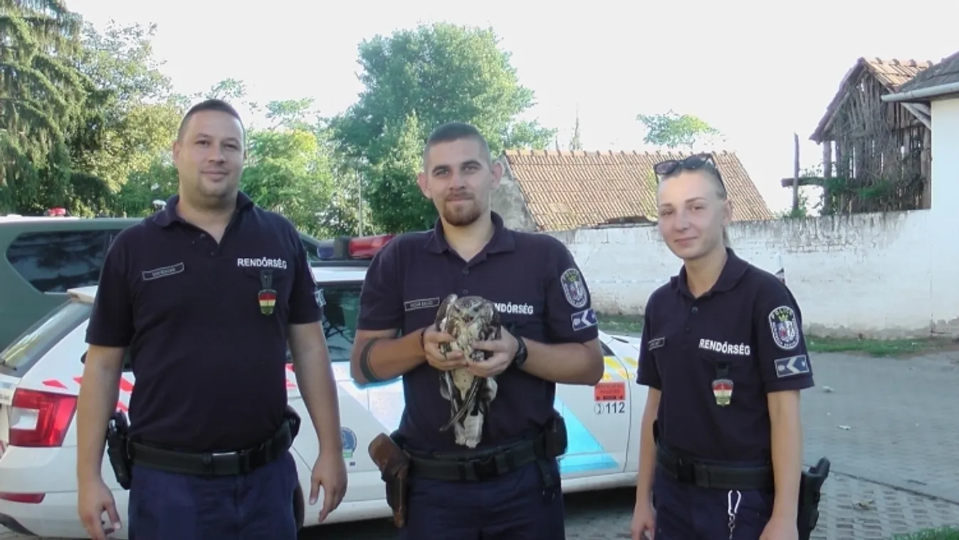 Nagy bajba került a ragadozó, rendőrök mentették meg az életét