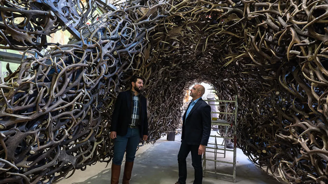 Ez a hatalmas állat várja a vadászati világkiállítás látogatóit