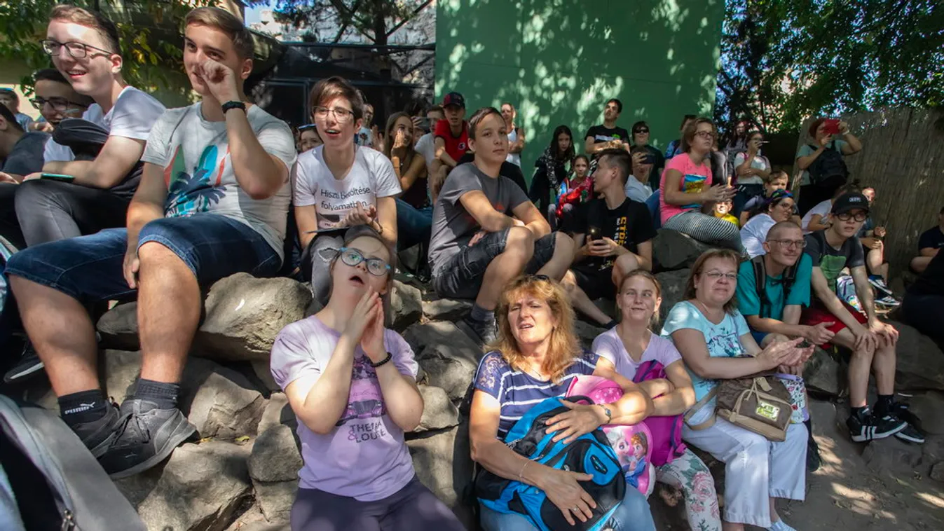 Ez volt a kedvenc állatuk a sérüléssel élő és az ép gyermekeknek