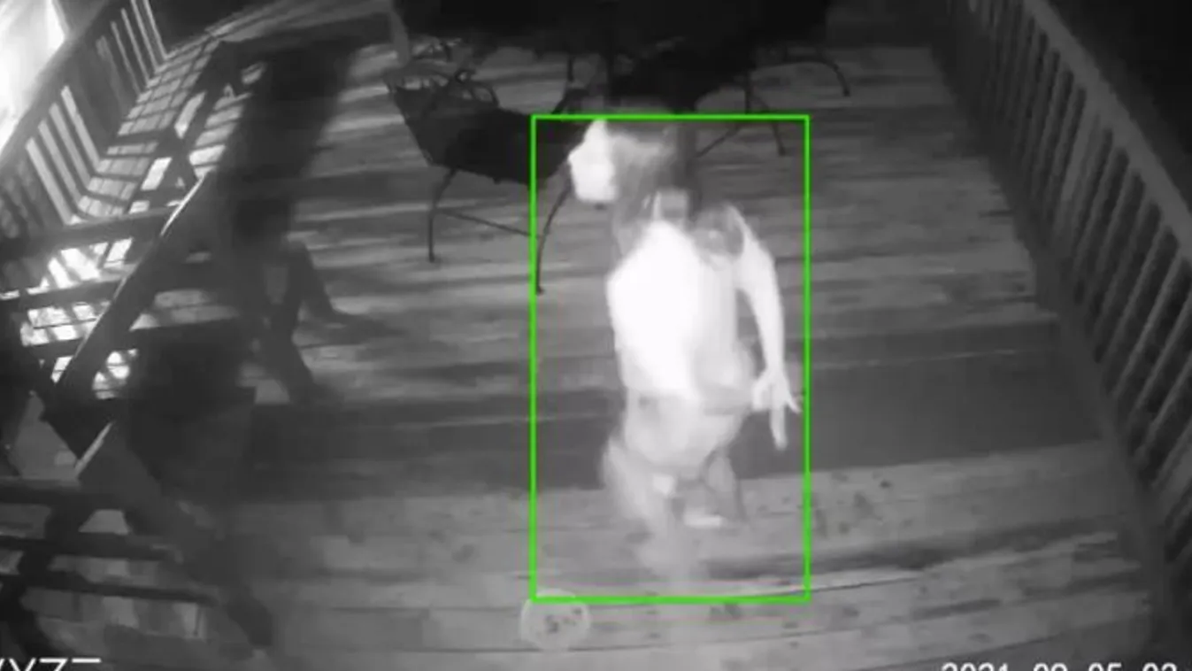 Sokkot kapott a házaspár, amikor meglátták, mit rögzített éjszaka a biztonsági kamera