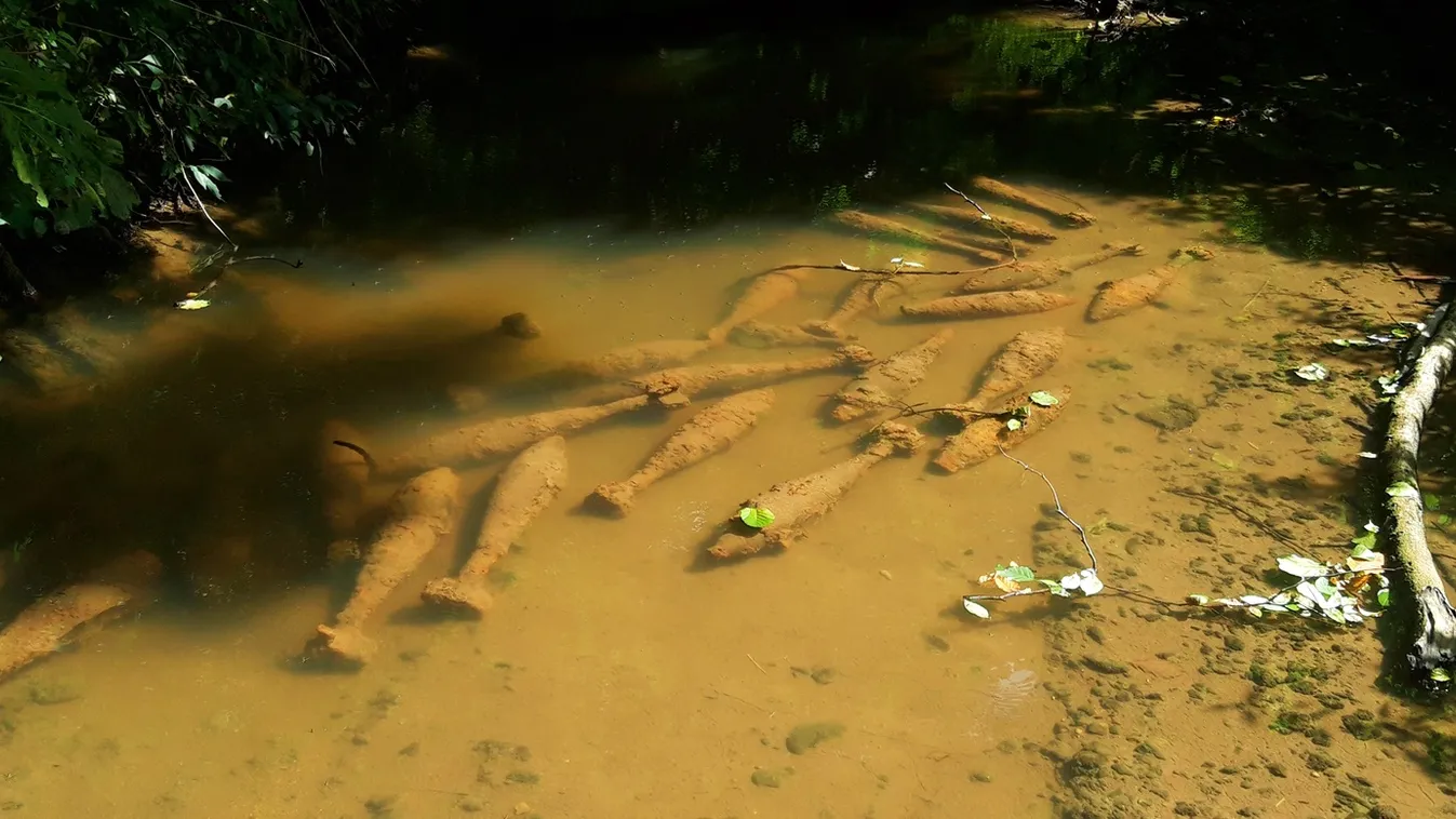 Halak helyett ezeket a szörnyű, veszélyes dolgokat találták a magyar patakban – fotók