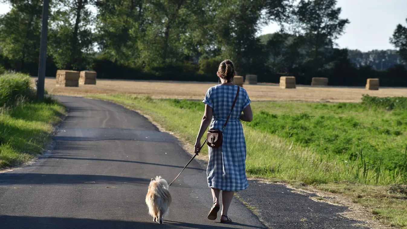 Kutyáját sétáltatta a 17 éves diáklány a parkban, amikor rátámadtak és megerőszakolták