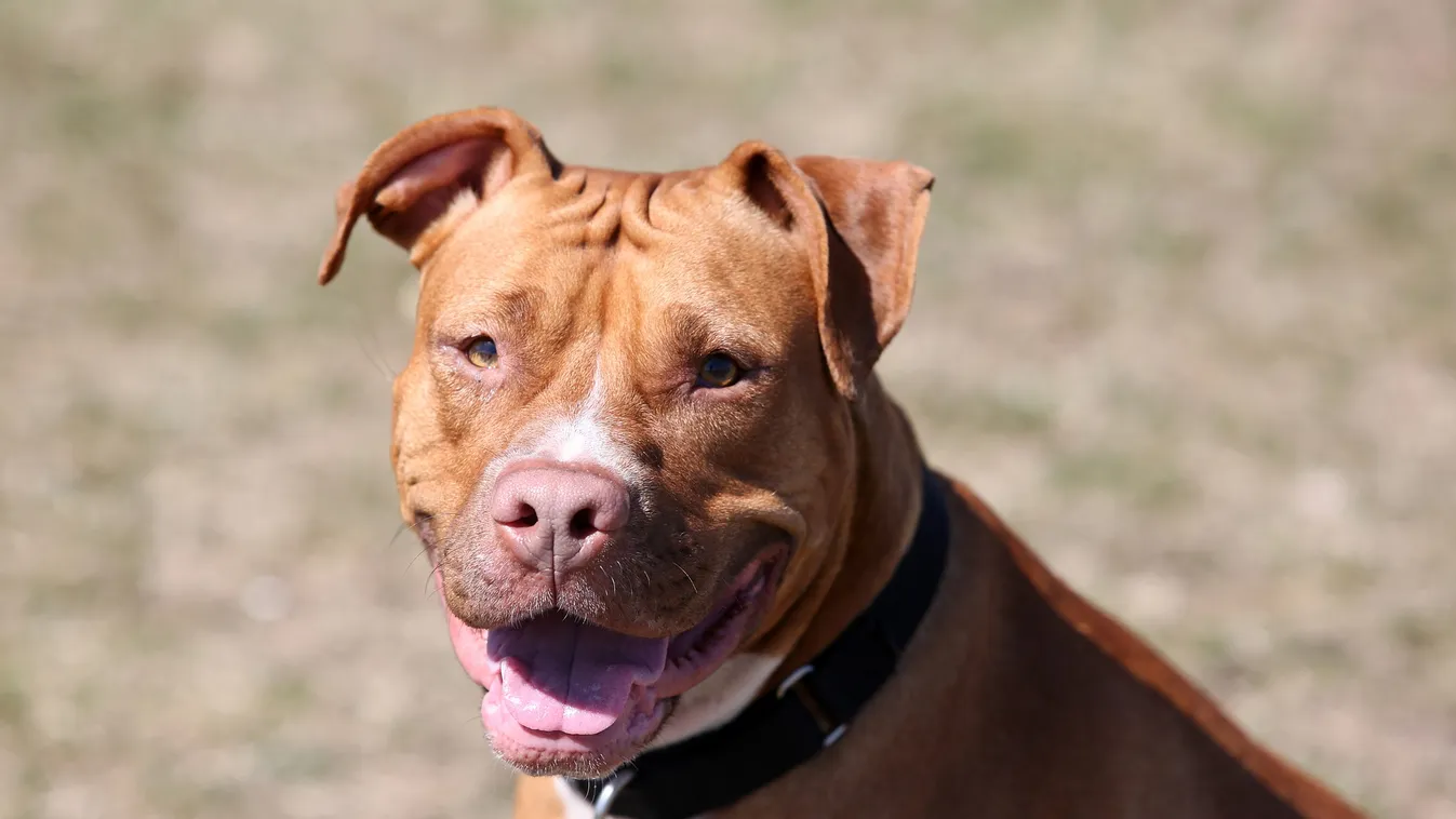 Brutális sérülésekkel rohantak a kórházba a gyönyörű lánnyal - megrázó fotók 18+