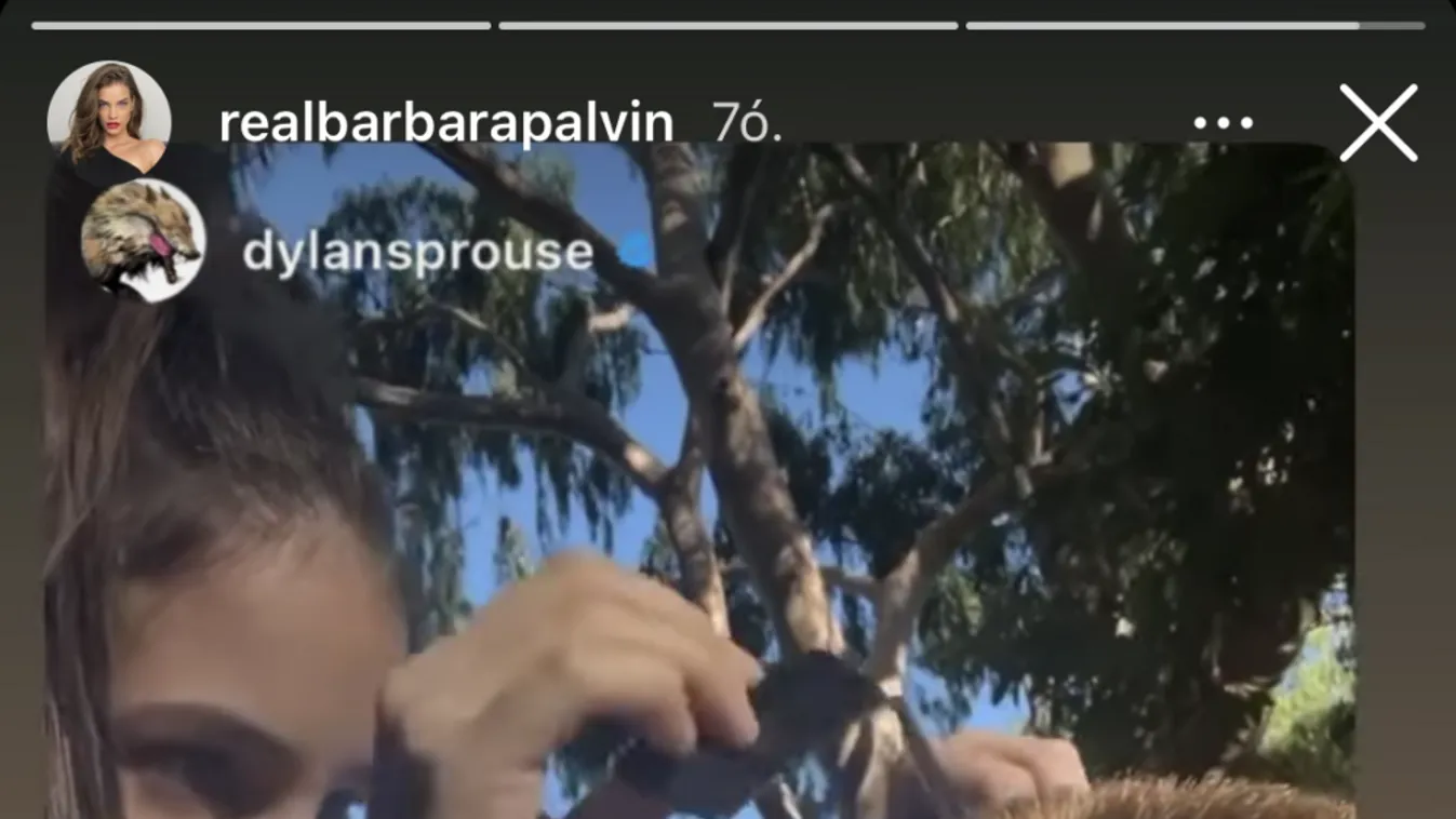 Palvin Barbi szakmát vált? Ollót és fésűt ragadott