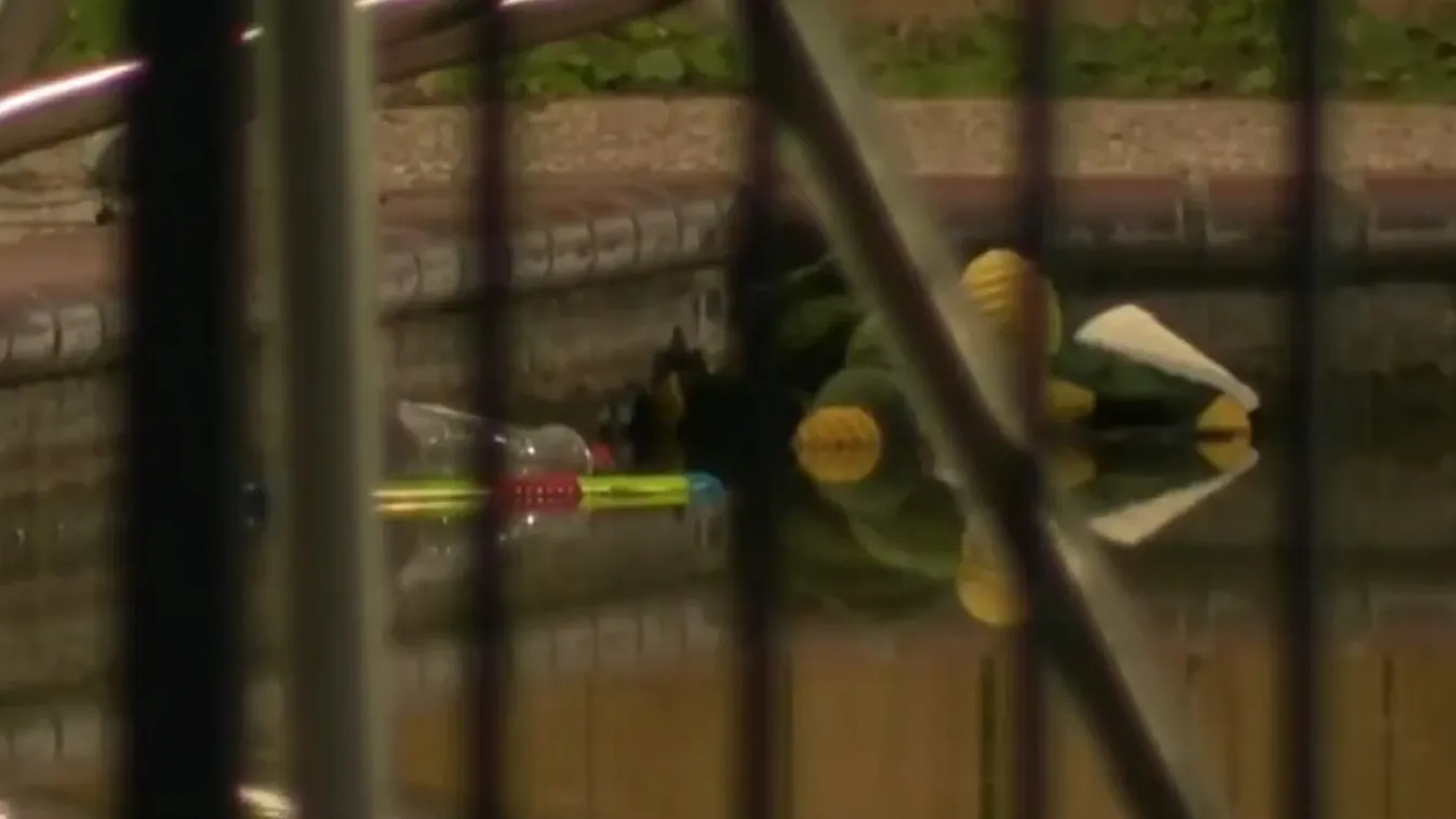 Belefulladt a 3 éves autista kisfiú a medencébe, a nagymamája talált rá