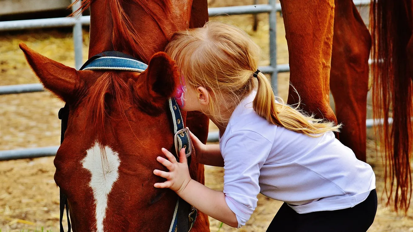 Tragédia a lovardában: Leesett a póniról, azonnal szörnyethalt a 2 éves kislány