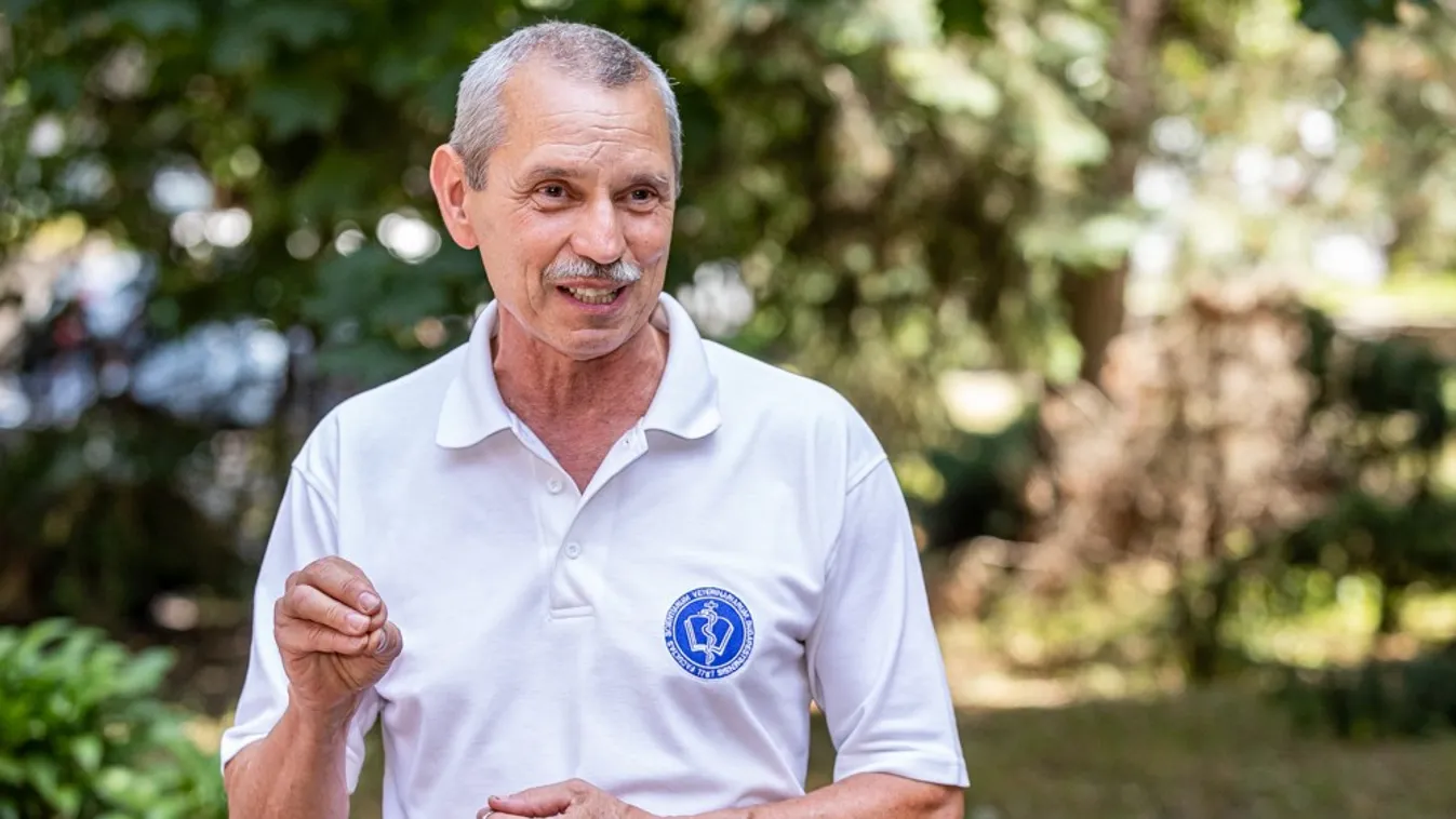 Rusvai Miklós: Így lehetünk ellenállóbbak a betegségekkel szemben