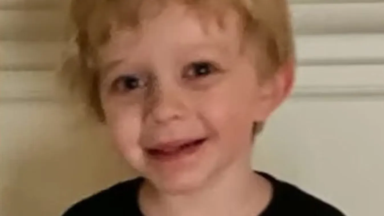 Halálra marcangolta a család kutyája a hétéves kisfiút