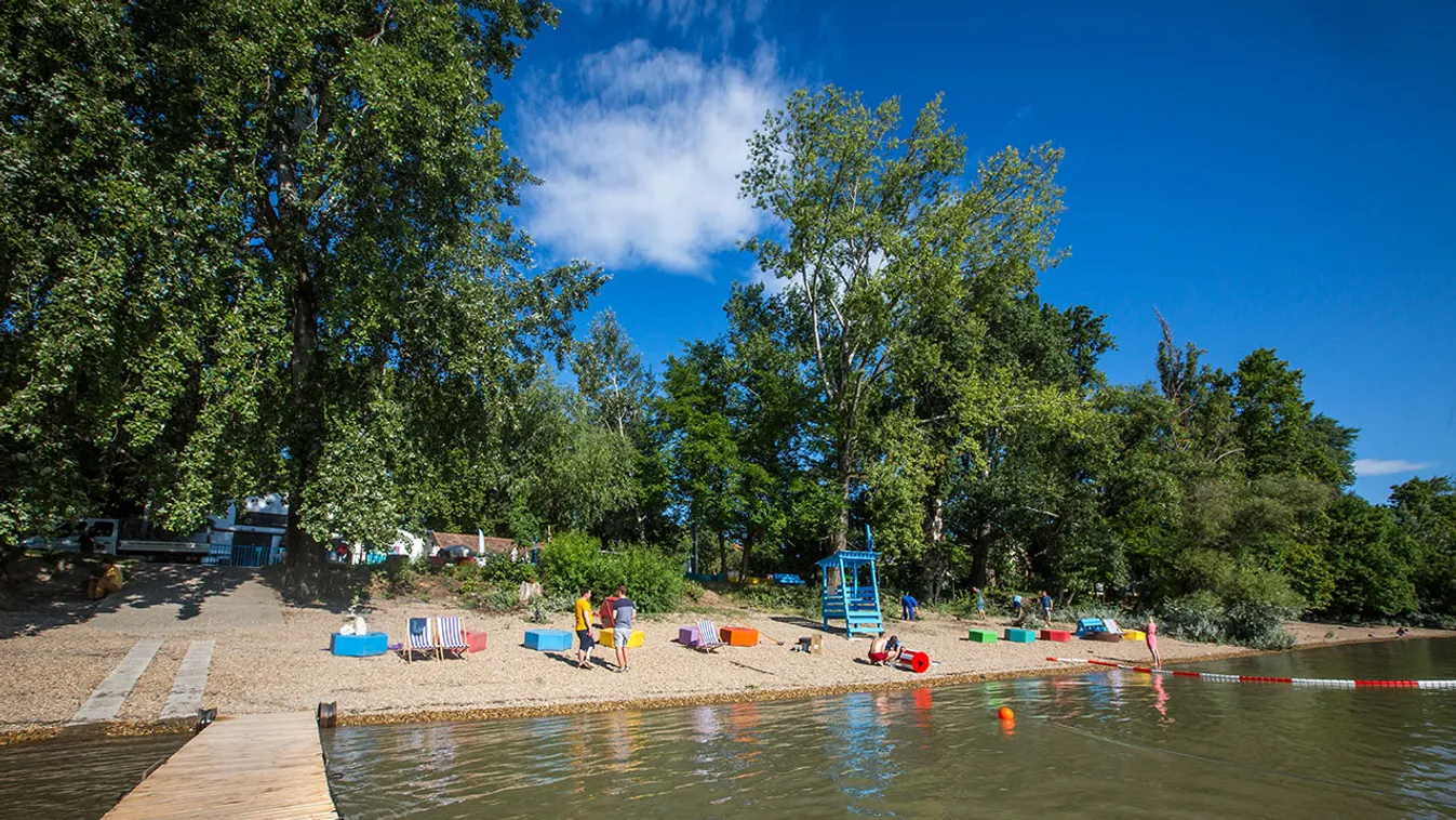 Ragadozó predátor tűnt fel a Római-parton