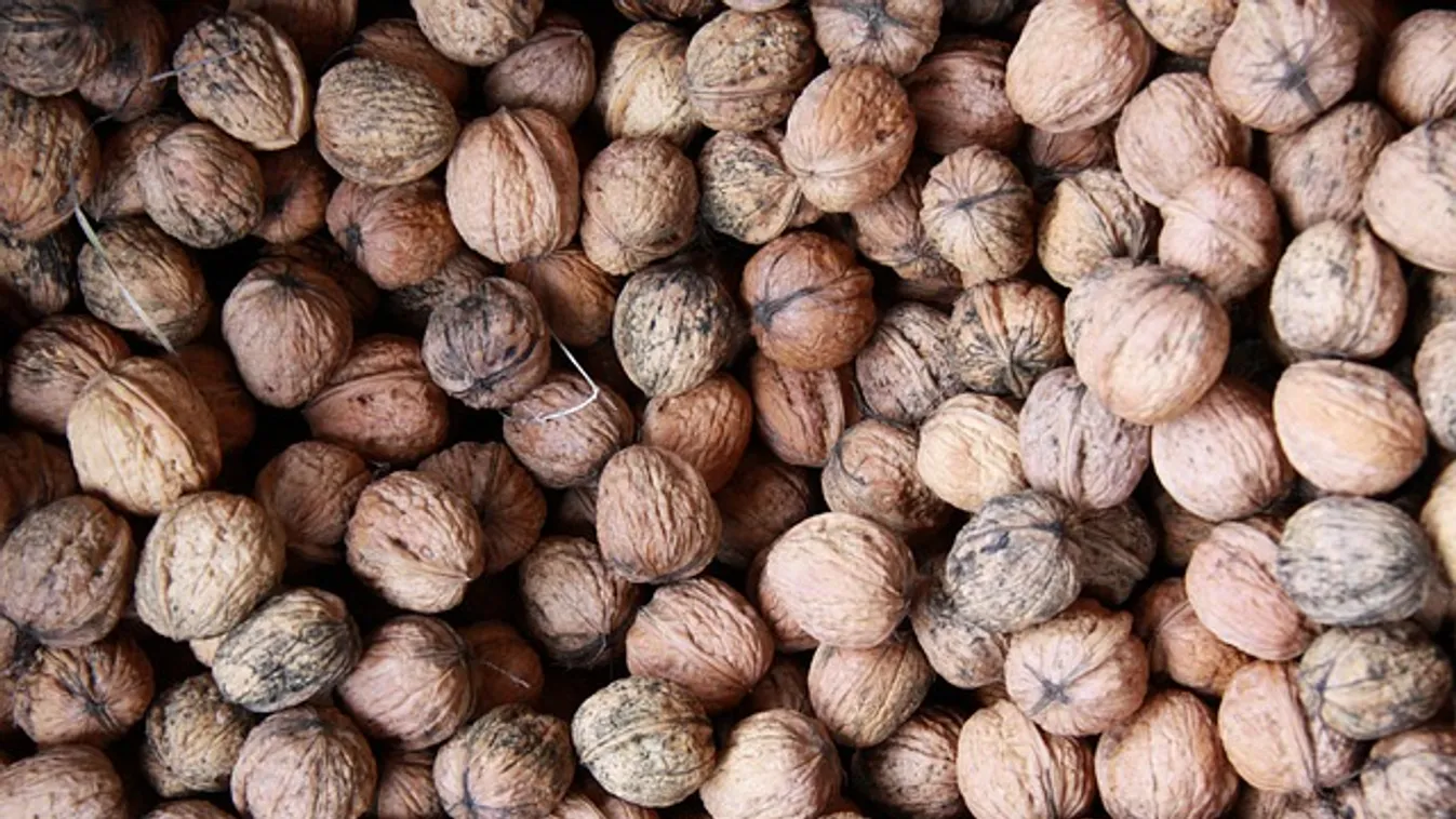 Ne dobd ki a fekete diót, így mentsd meg a termést
