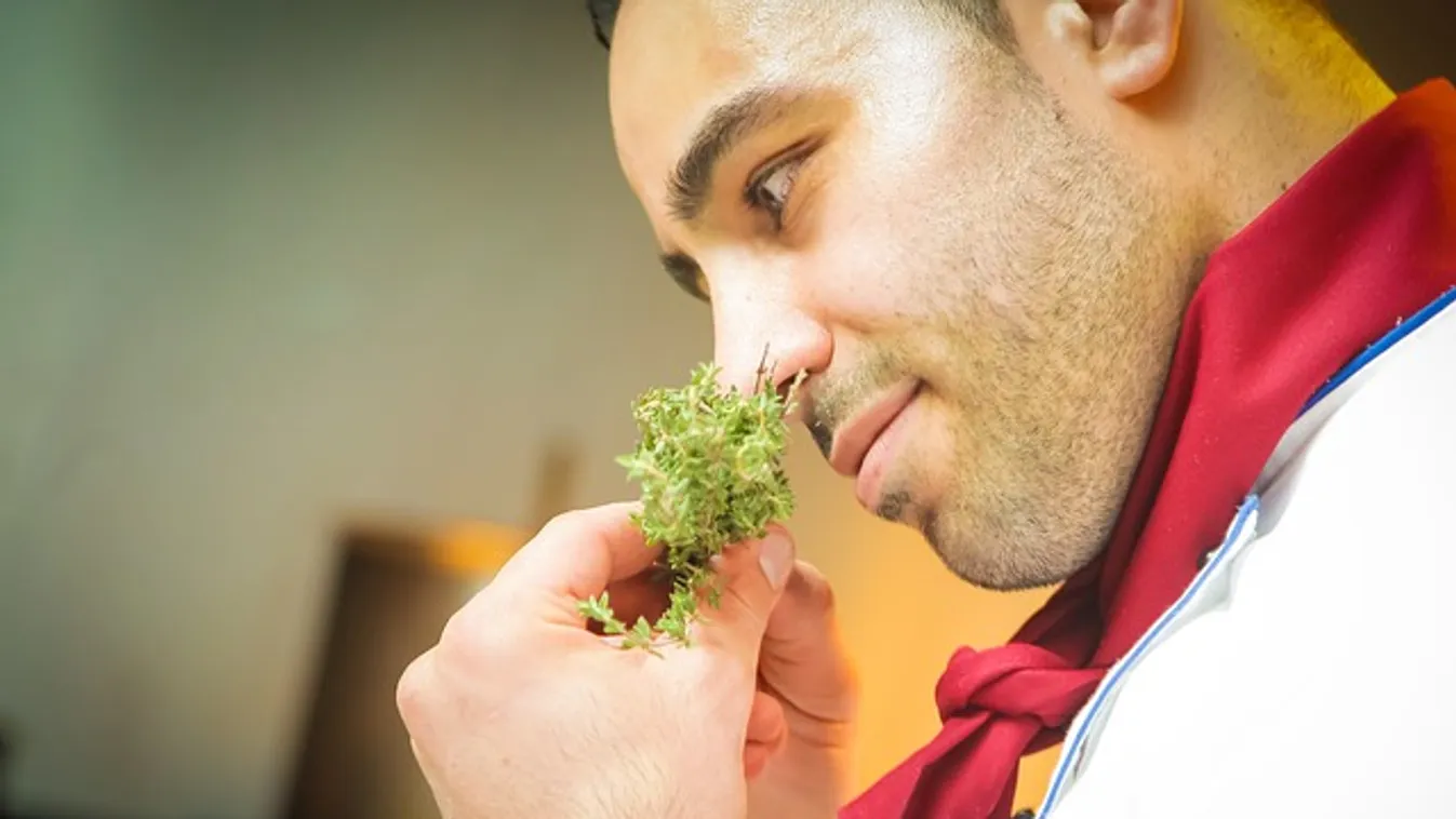 Só helyett citrom: A profi séfek elárulták a legnagyobb titkukat