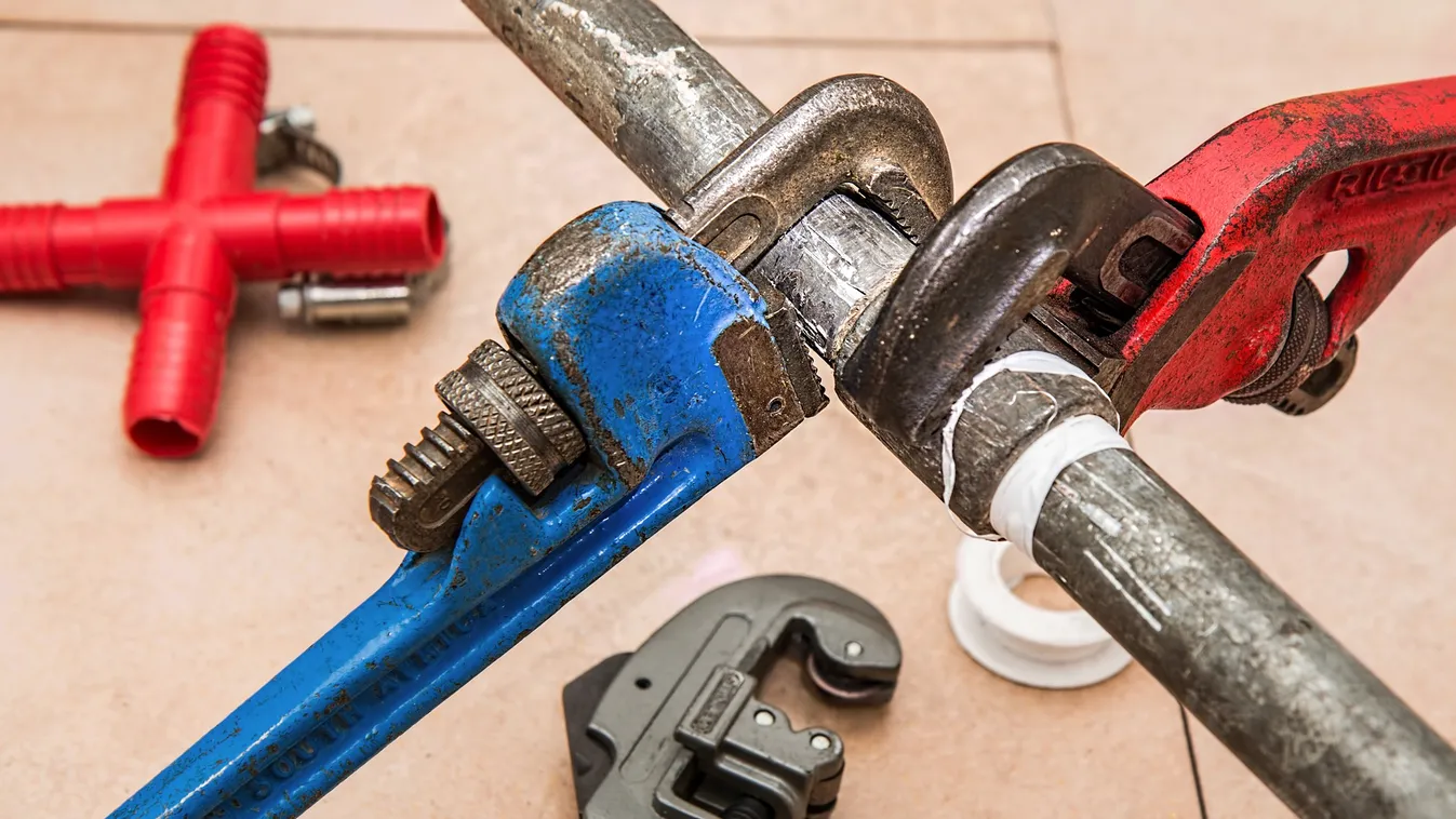 Vízszerelőnek adta ki magát, 14,5 évre ítélték