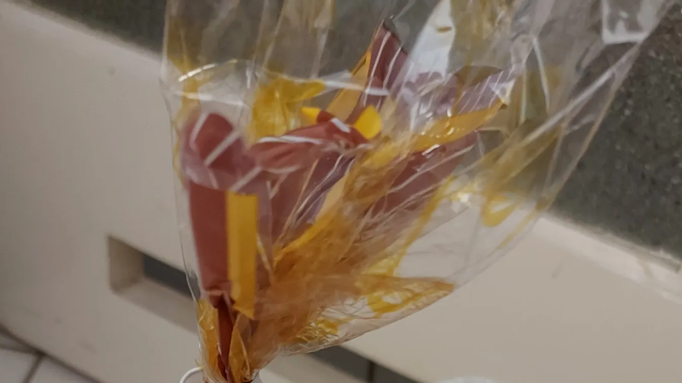 Te mit tennél az élelmiszer-pazarlás ellen? - az utca emberét kérdeztük