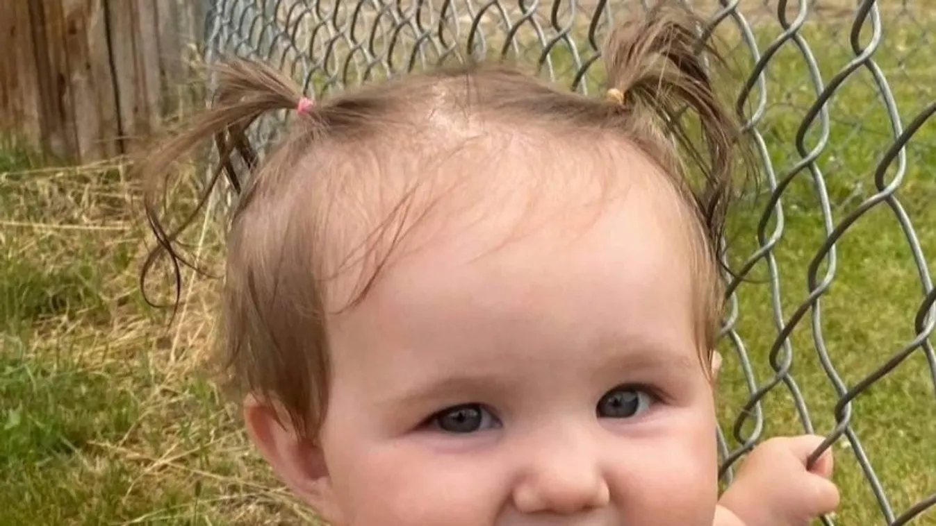 Tragédiába fulladt a piknik: egy angyalarcú 11 hónapos kislányra támadtak rá a megvadult ebek