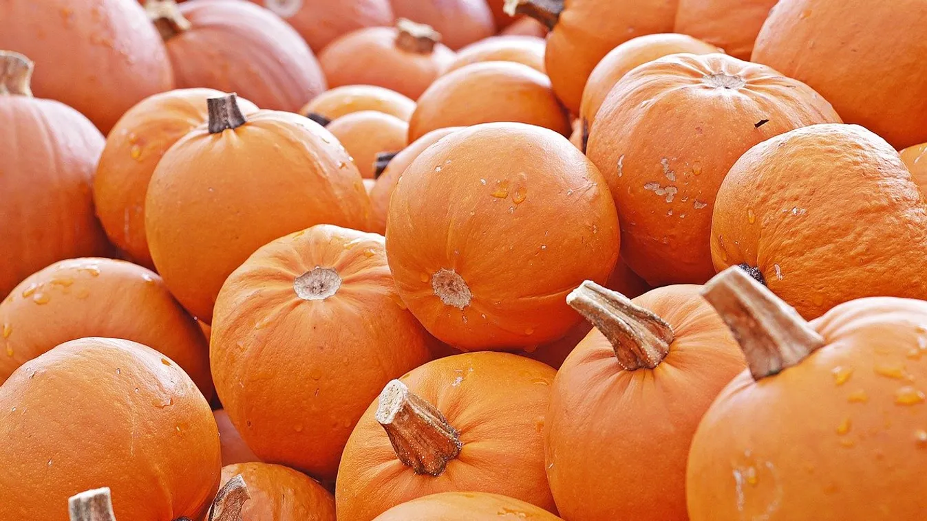 Kórházba kerülhet, aki véletlenül dísztököt eszik!