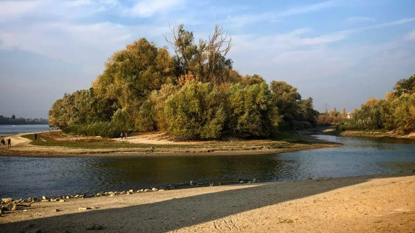 Mint egy horrorfilmben: iszapban süllyedt el egy nő a Népszigeten