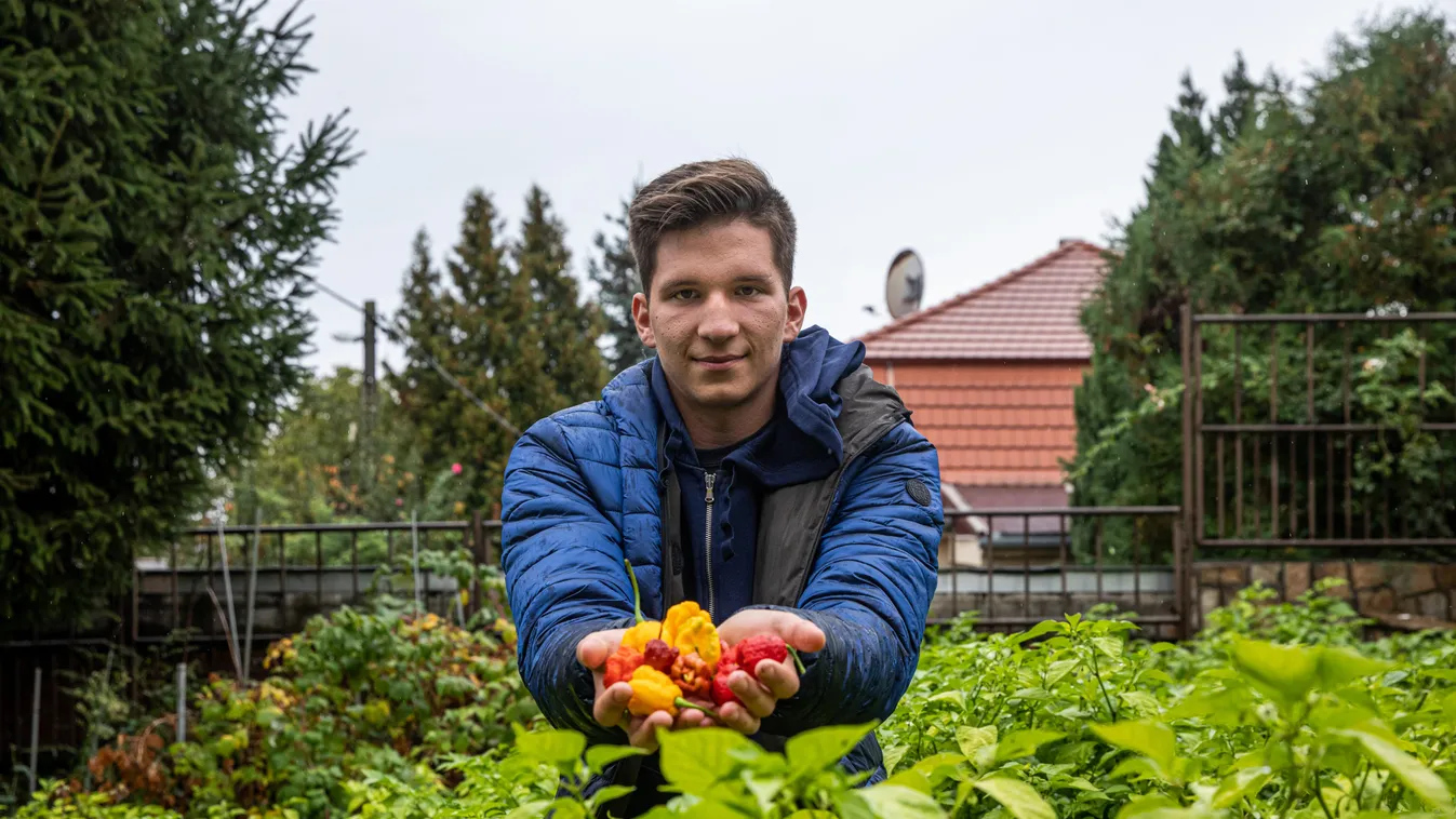 Nem hiszed el, Budafokon él és dolgozik a mindössze 21 éves világbajnok csilikirály
