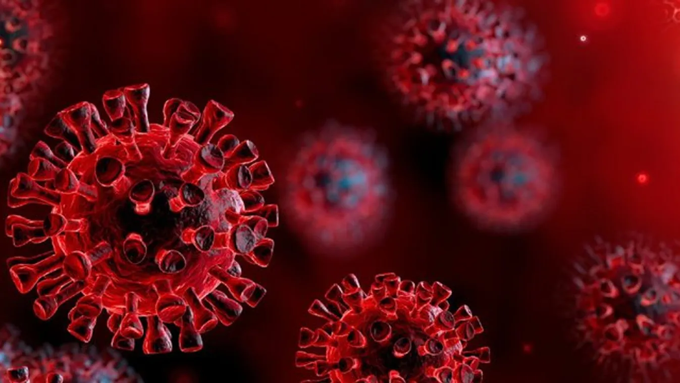 Ha ez sem győz meg az oltásról, akkor semmi – így néz ki a román Covid-kórház folyosója