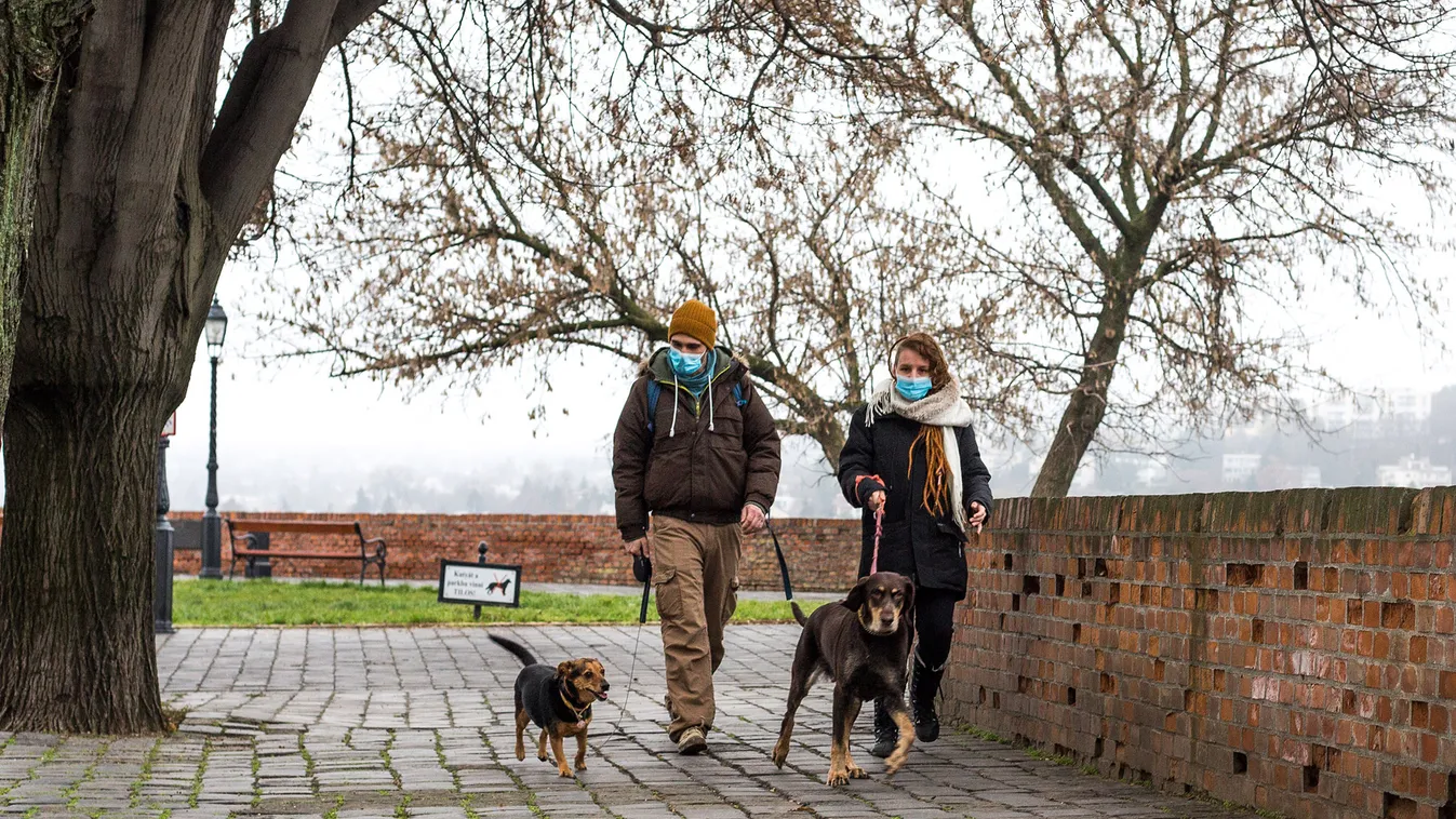Rengeteg a kutyatámadás Budán, gyerekeket is megharaptak az ebek