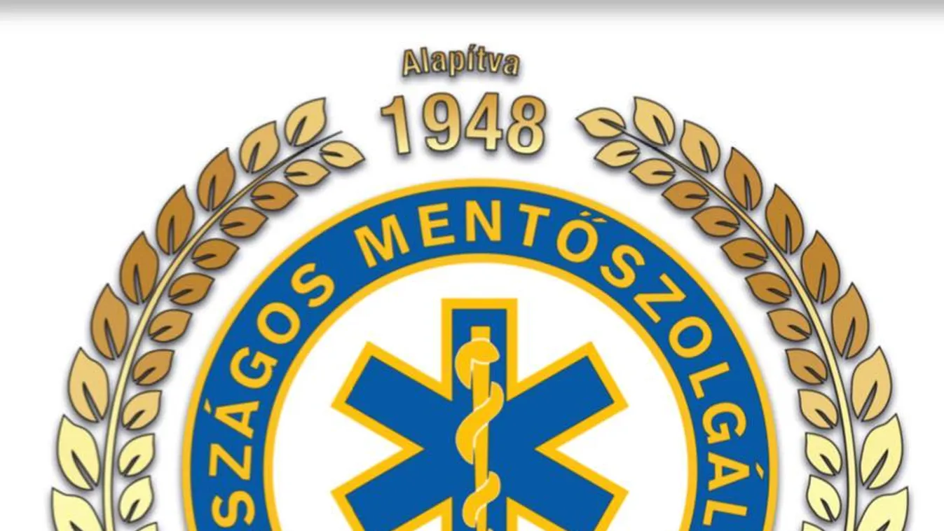 Kisgyerekes anyuka mentette meg a fuldokló Pest megyei férfit