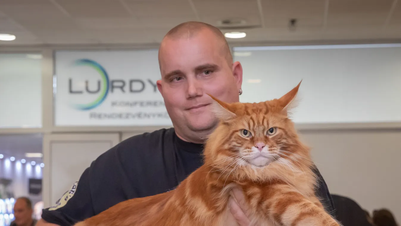 Nem hiszed el, milyen állatok leptek el egy pesti bevásárlóközpontot – videó