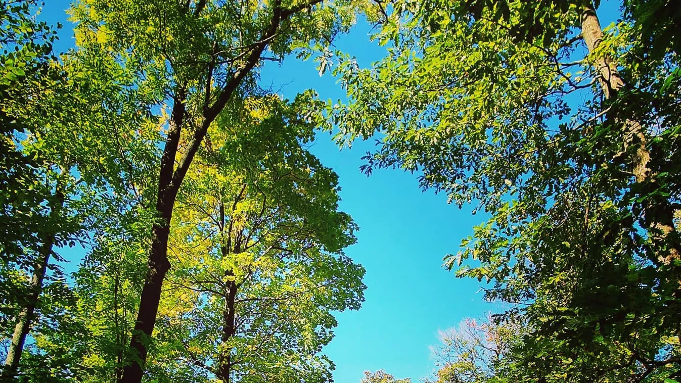 Kirándulj és síelj a Bakony szívében: megújult a Síaréna Vibe Park