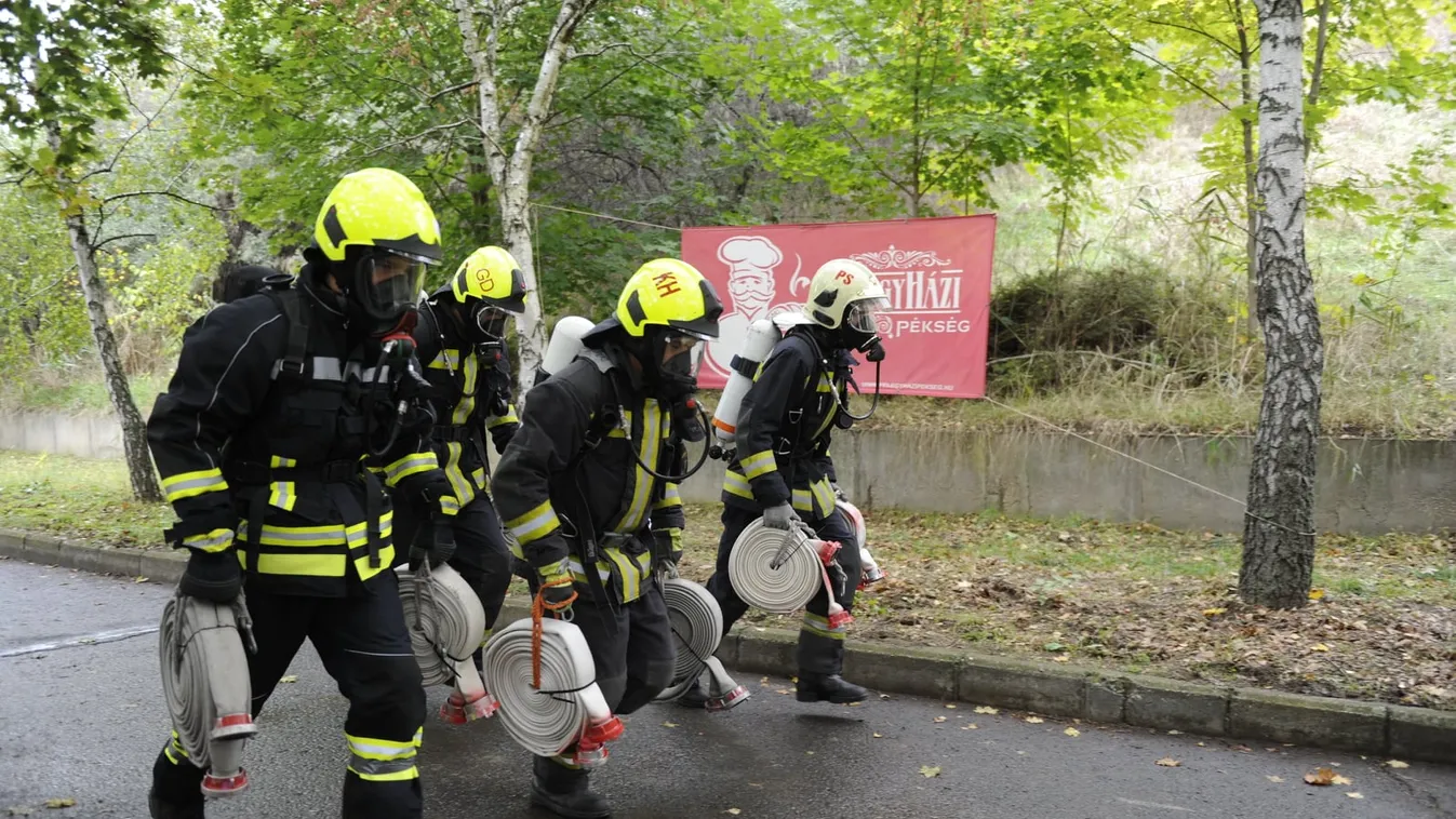 Szakadékba zuhant egy férfi Budán, de túlélte a 15 méteres esést