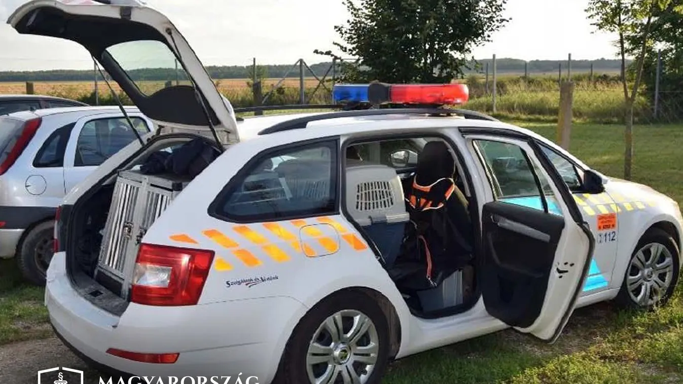 Hőguta miatt haltak meg a hős magyar rendőrkutyák, borzalmas, ami történt